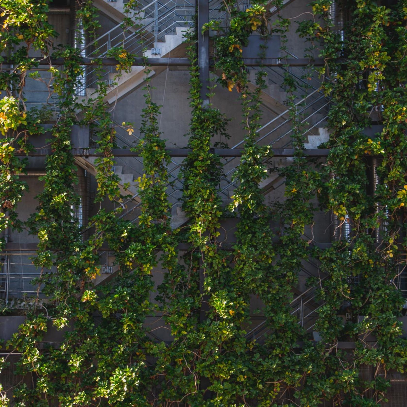 Green Wall Support Systems gallery detail image