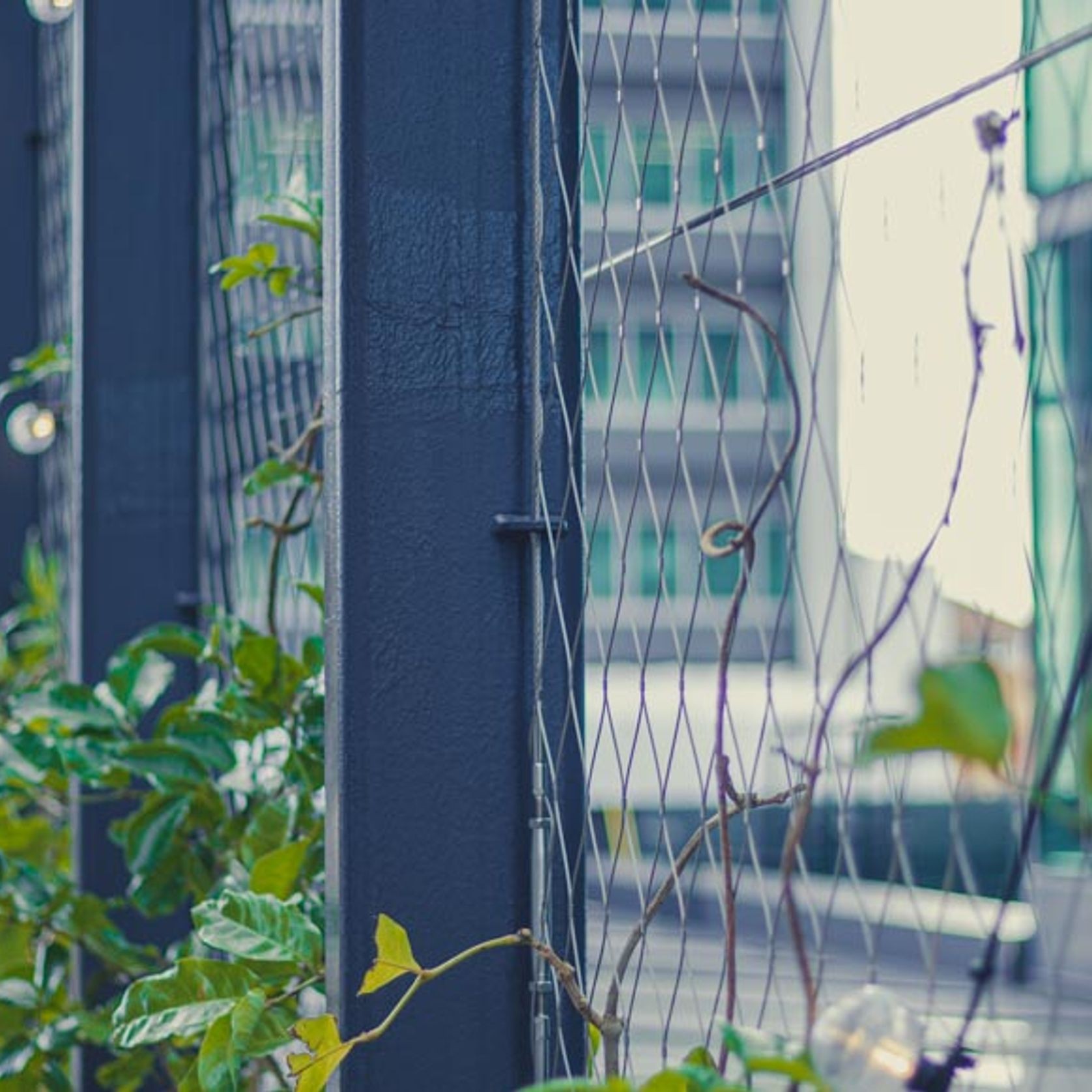 Green Wall Support Systems gallery detail image