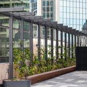 Green Wall Support Systems gallery detail image