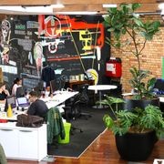 Indoor Plant Hire | Hire Plants gallery detail image