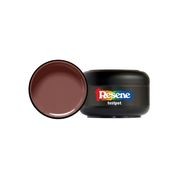 Resene Burnt Sienna gallery detail image