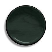 Resene Evergreen gallery detail image