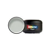 Resene Tasman gallery detail image