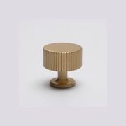KT&CO Kitchen drawer knobs Rose Bay gallery detail image