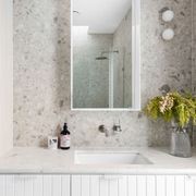 Ferrara Lip Pull | Handles gallery detail image