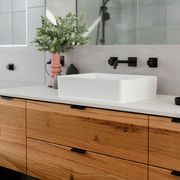 Ferrara Lip Pull | Handles gallery detail image