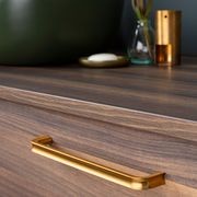 LIPP Cabinet Handle gallery detail image