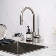Mira Brushed Nickel Pull Out Mixer gallery detail image
