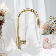Mira Brushed Brass Gold Pull Out Mixer gallery detail image