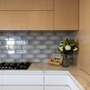 Bestwood Evoake™ Veneer Interior Panels gallery detail image