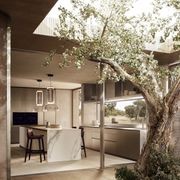 Alea Pro Kitchen gallery detail image