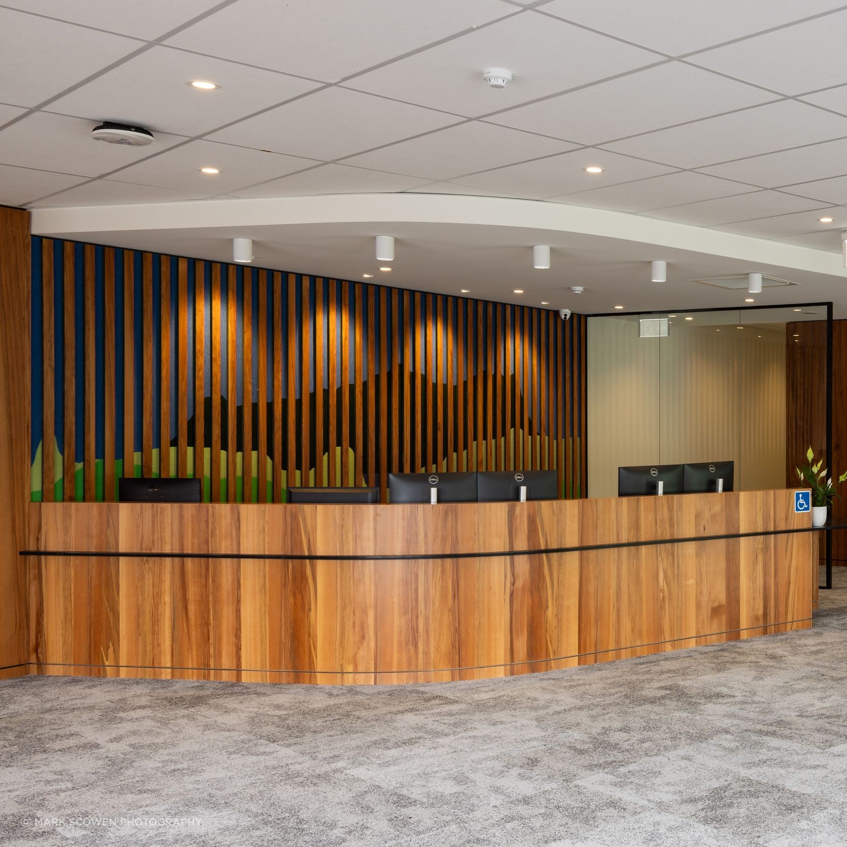 Prime Toitū Veneer Interior Panels gallery detail image