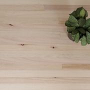 Timber Benchtops & Panels gallery detail image