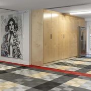 Bestwood Natural Veneer Interior Panels gallery detail image