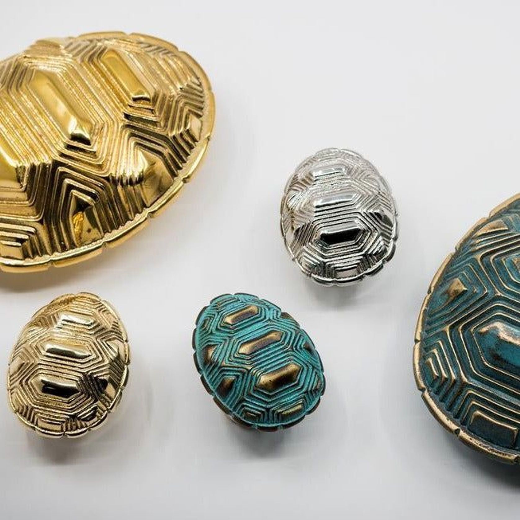 TORTOISE - TS gallery detail image