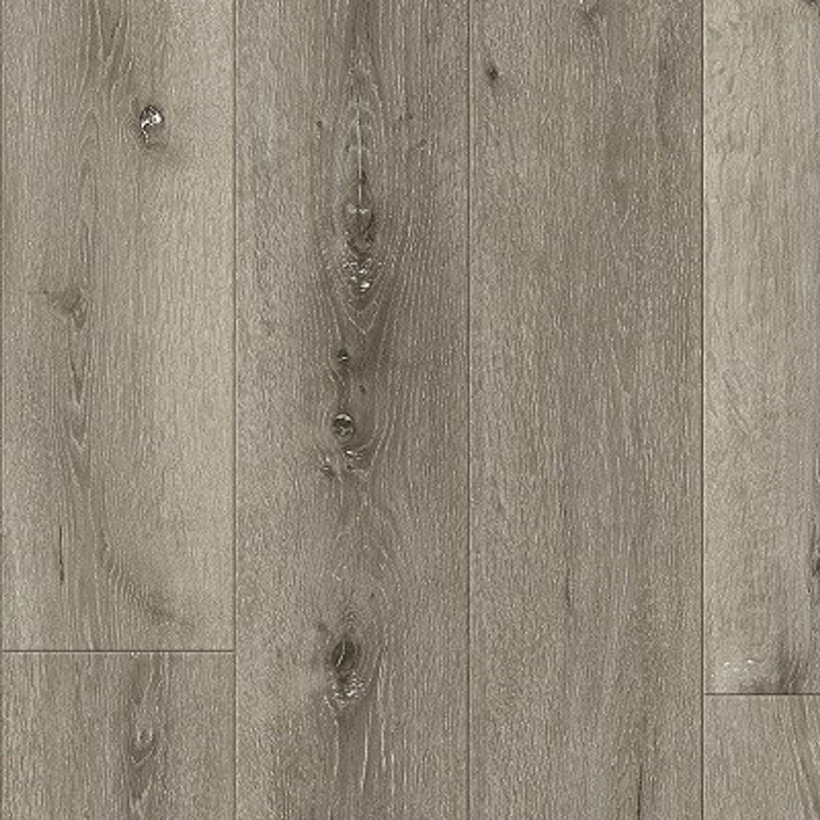 Odyssey gallery detail image