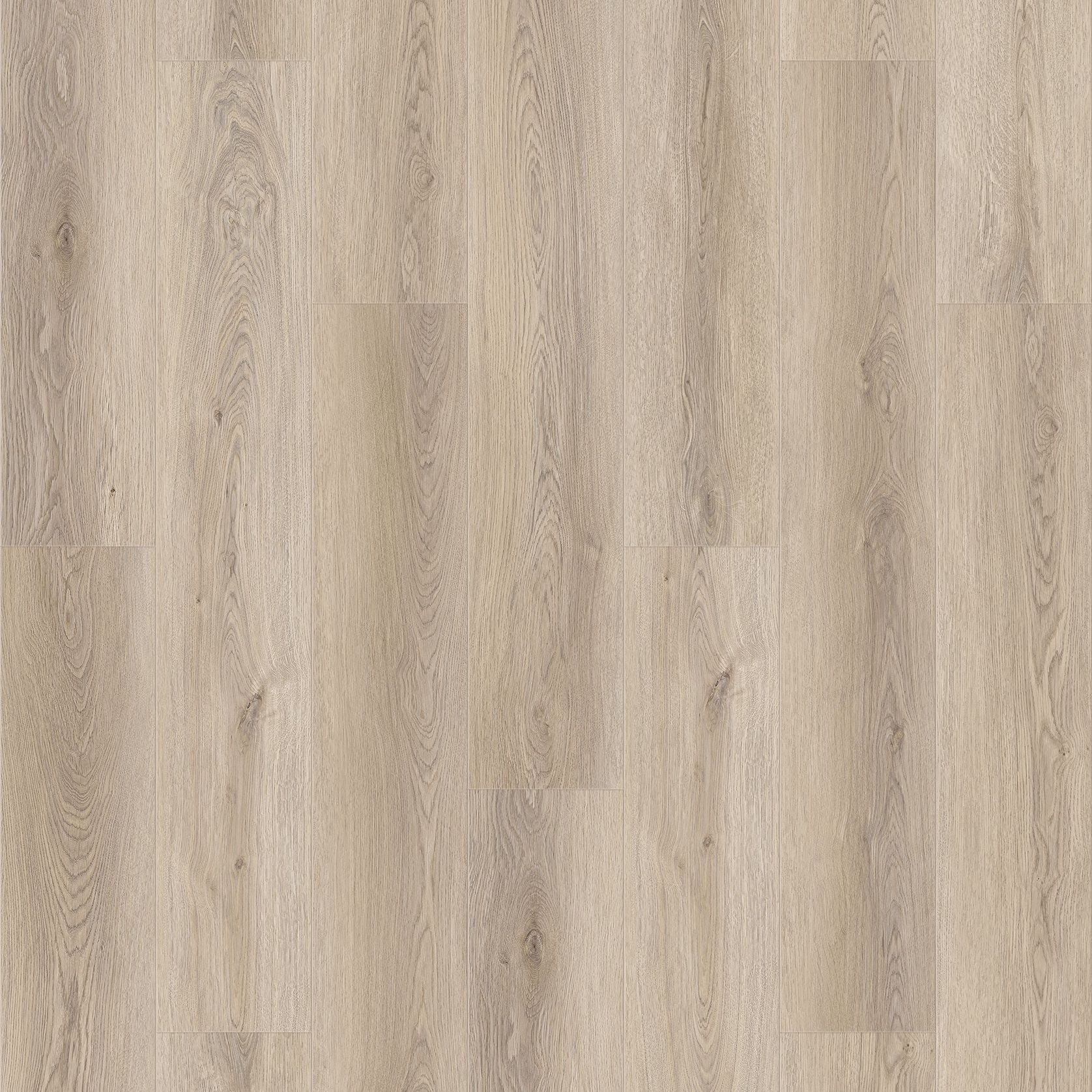 Queenstown 1.2 | Mount Eden gallery detail image