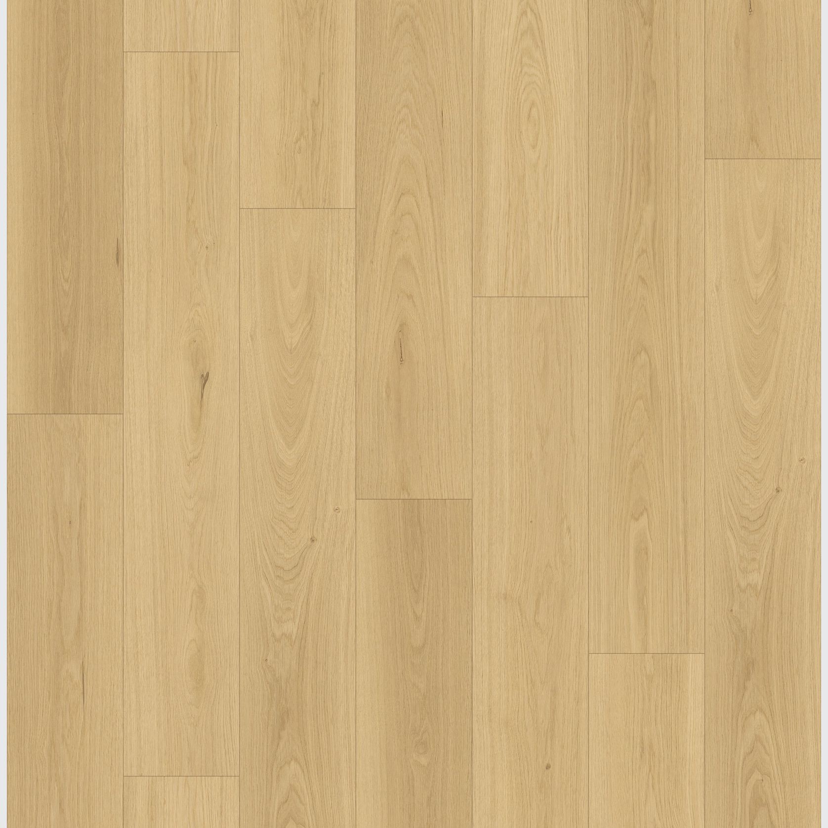 Queenstown 1.2 | Sandy Point gallery detail image