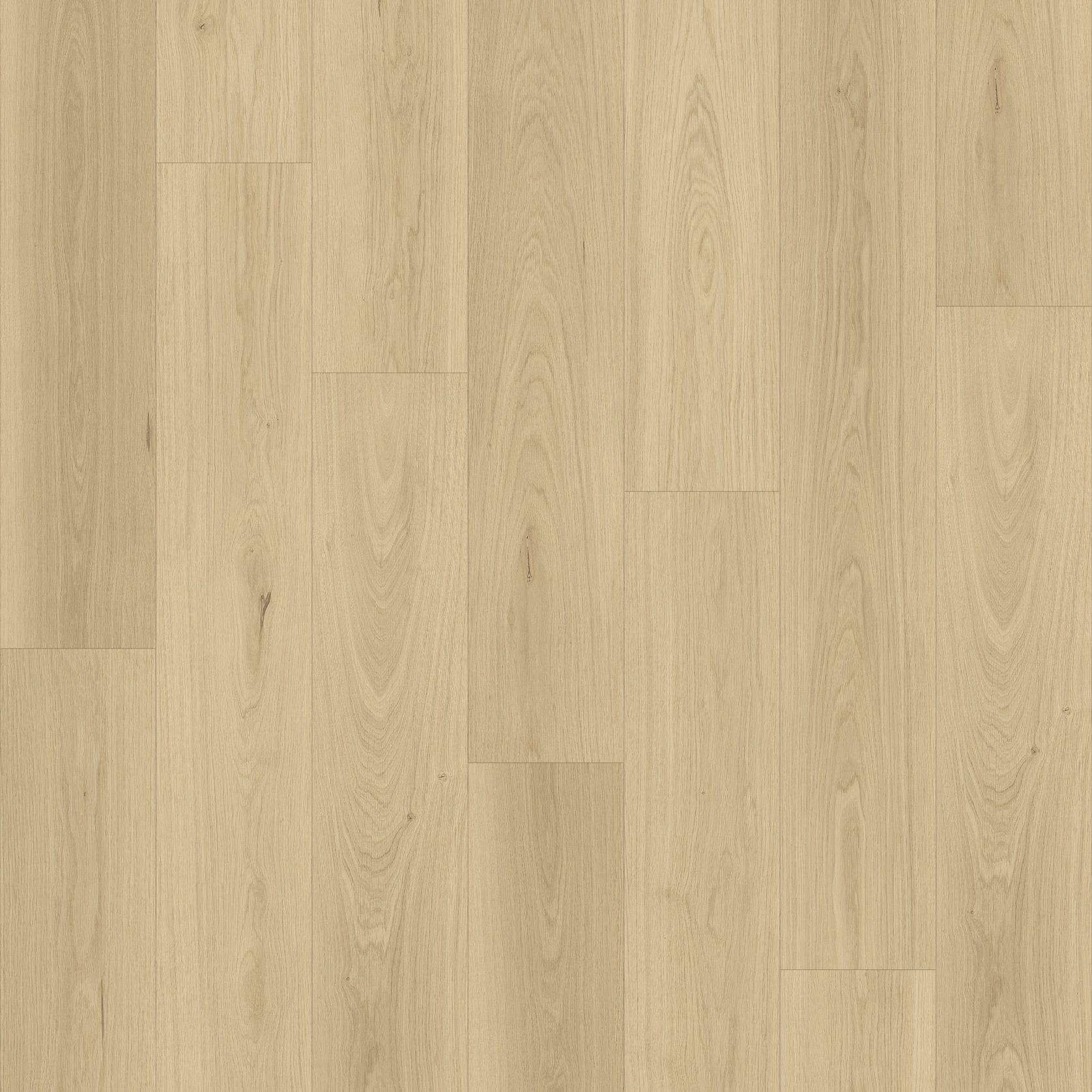 Queenstown 1.2 | Kingston gallery detail image