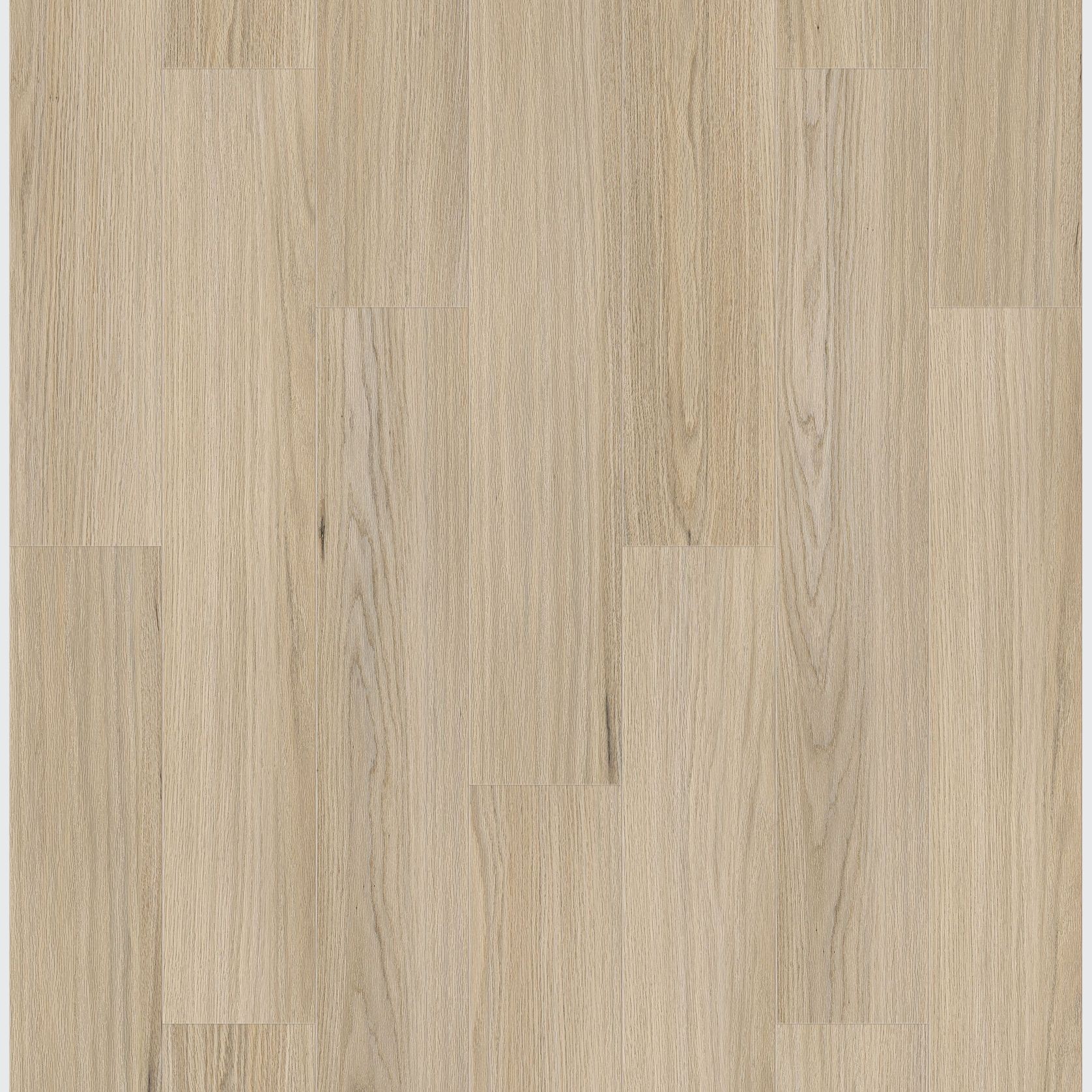 Queenstown 1.2 | Newtown gallery detail image