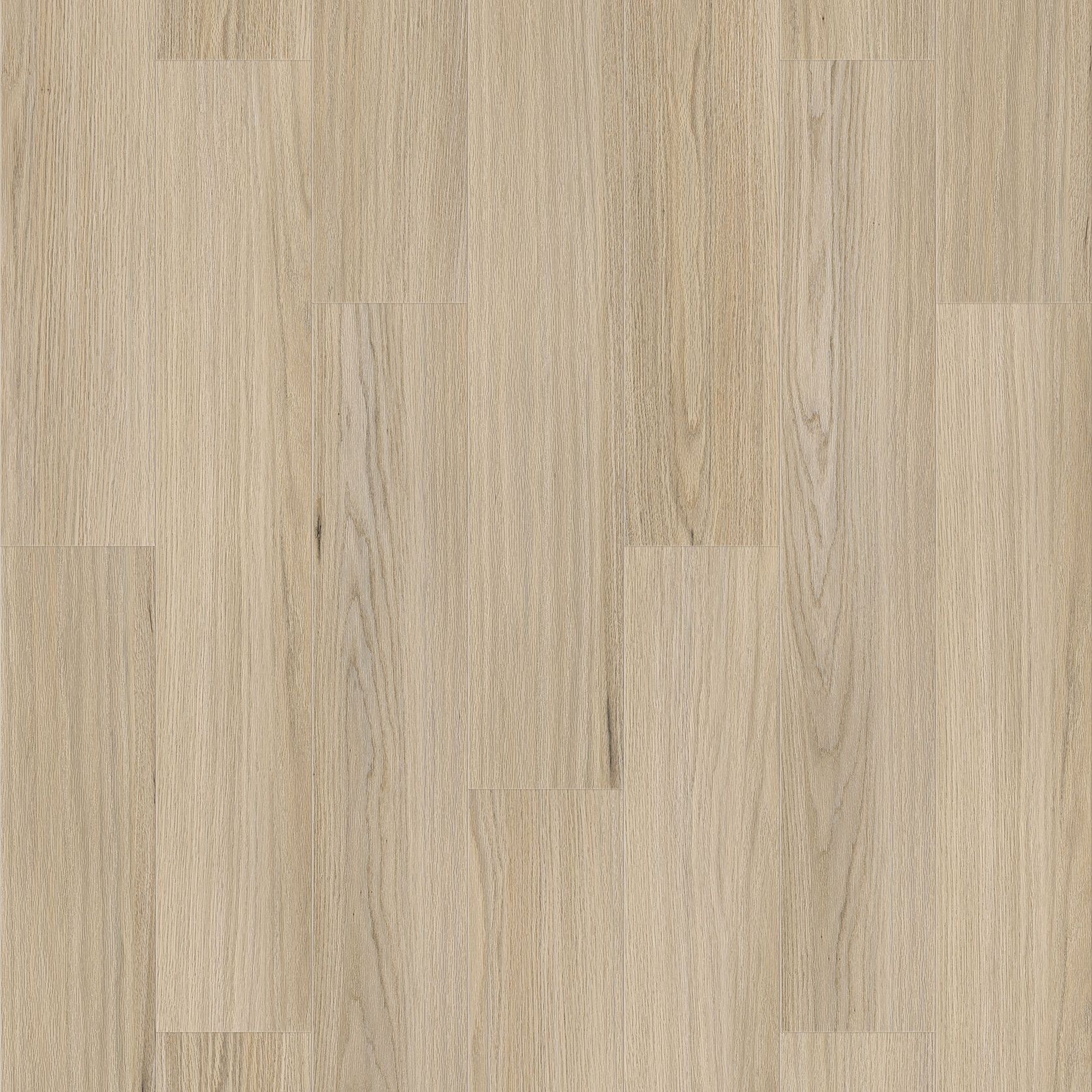 Queenstown 1.2 | Newtown gallery detail image