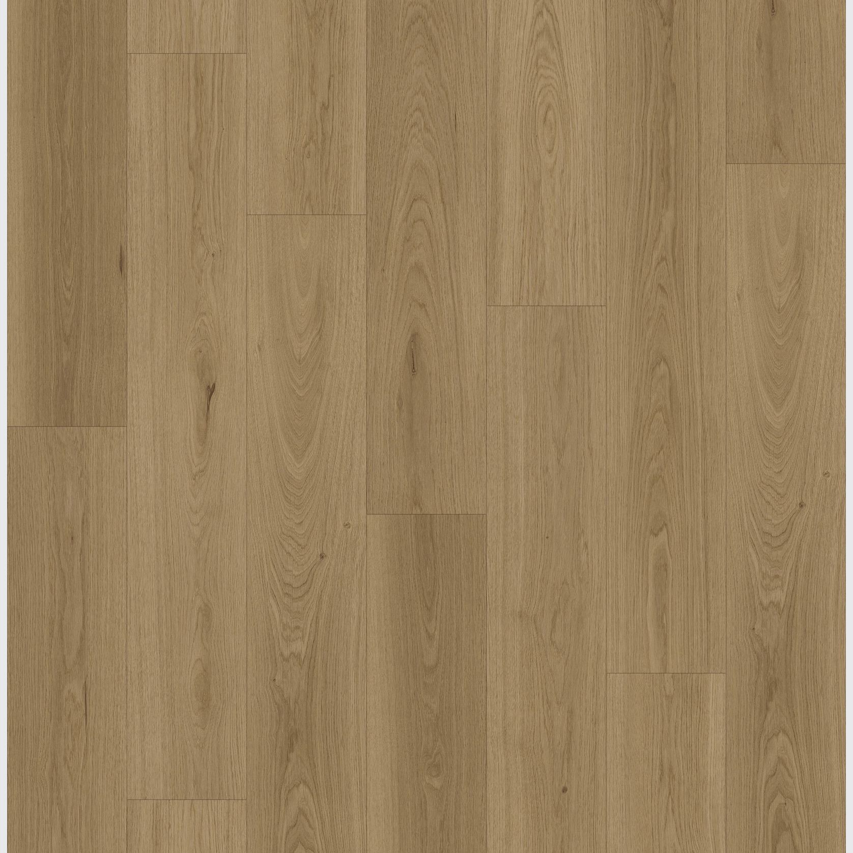 Queenstown 1.2 | Roseneath gallery detail image