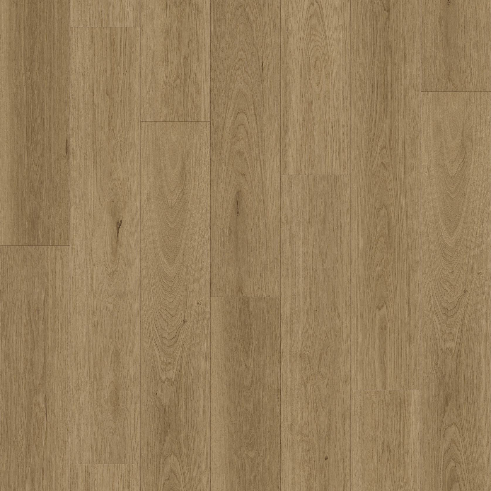 Queenstown 1.2 | Roseneath gallery detail image