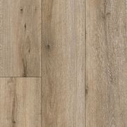 Odyssey gallery detail image