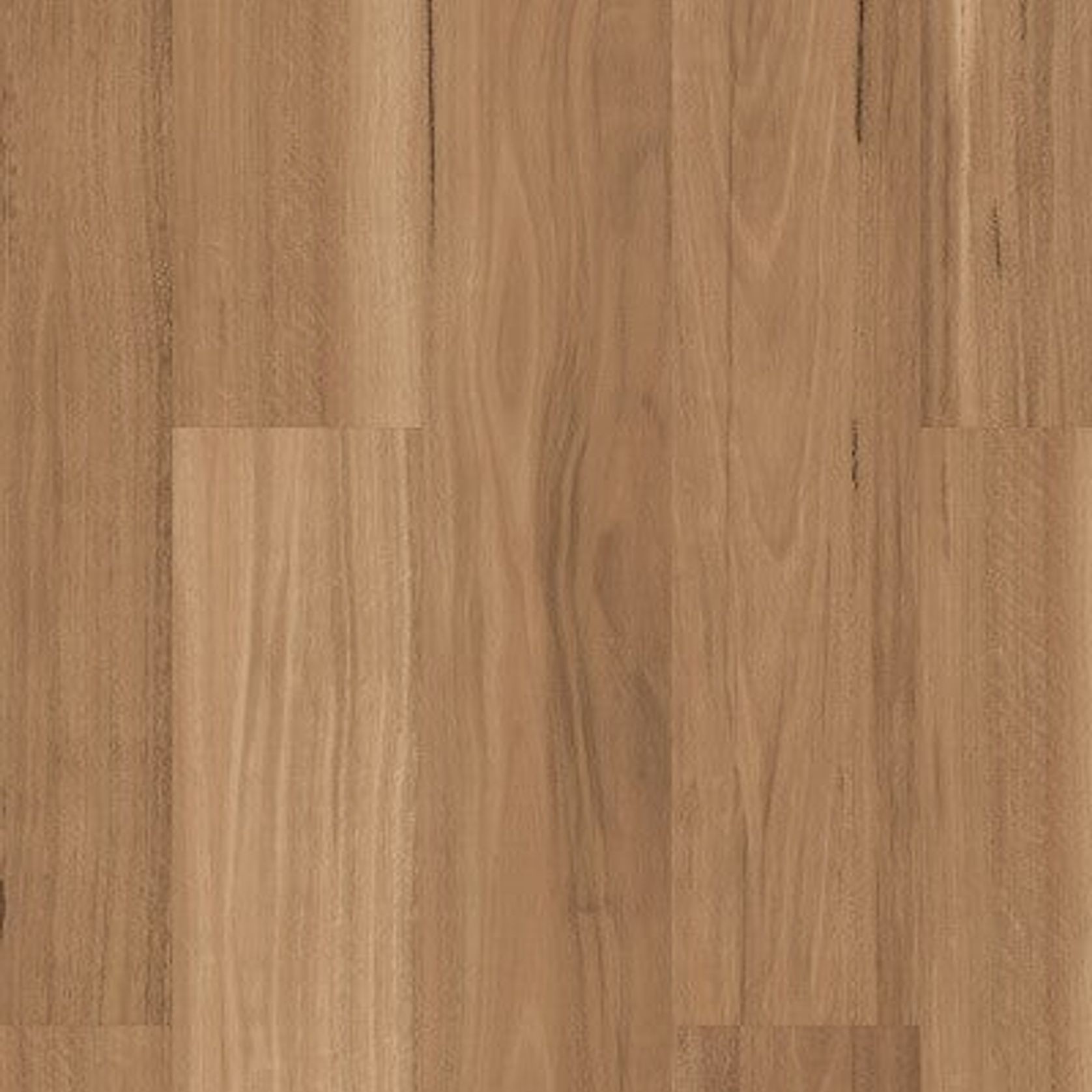 Korlok gallery detail image