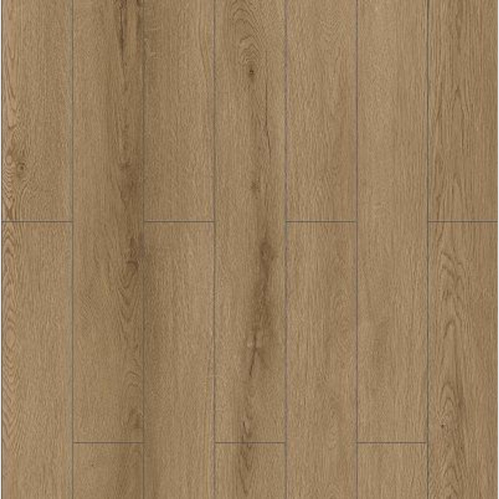 Odyssey gallery detail image