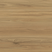 Shield | Everlast gallery detail image