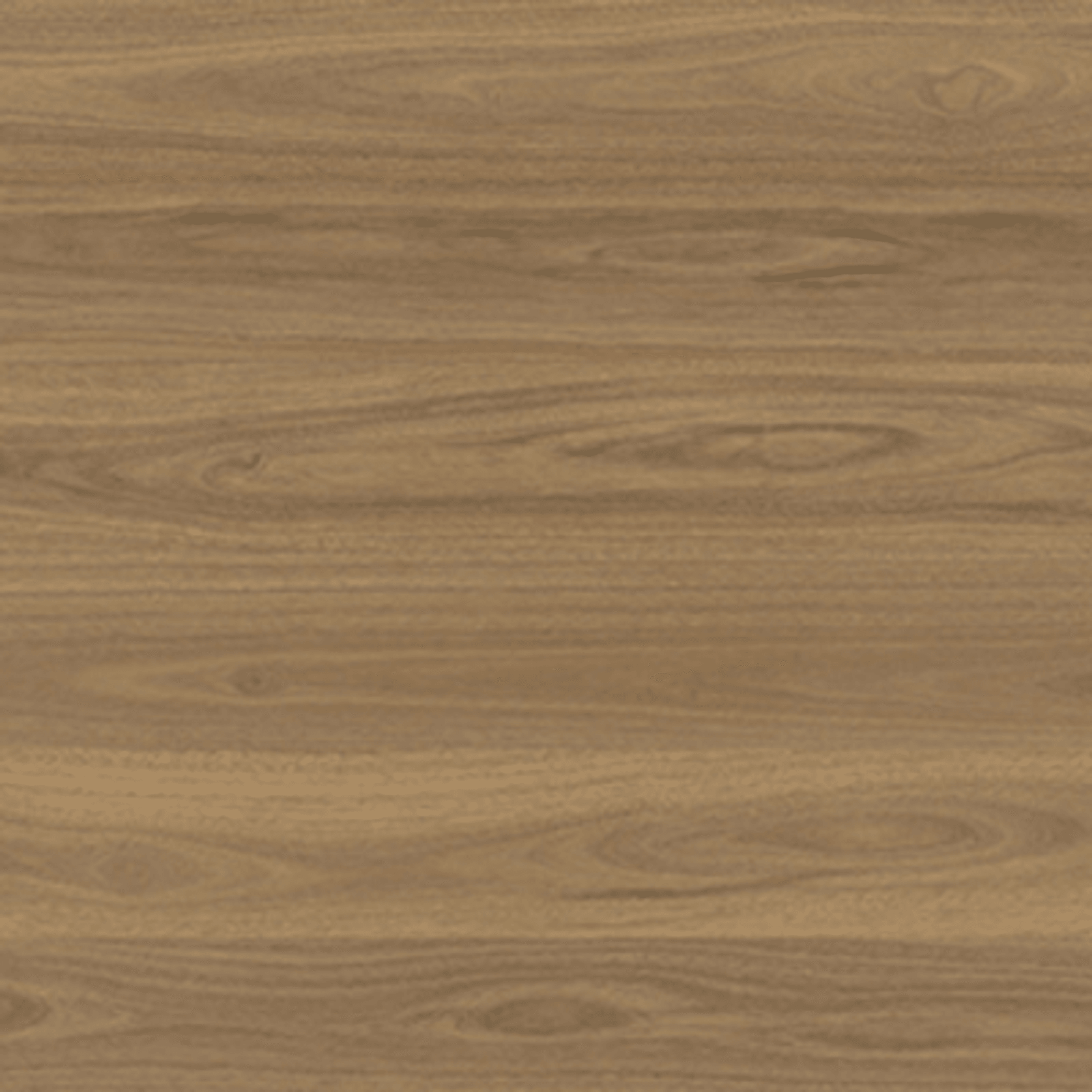 Shield | Everlast gallery detail image