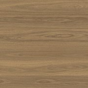 Shield | Everlast gallery detail image