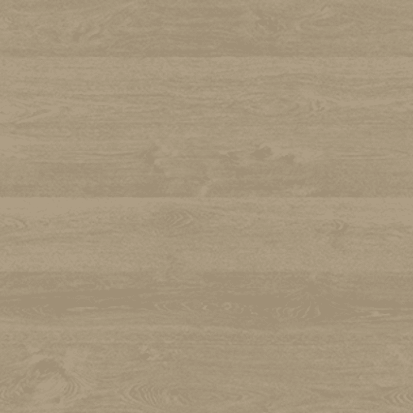 Shield | Everlast gallery detail image