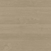 Shield | Everlast gallery detail image