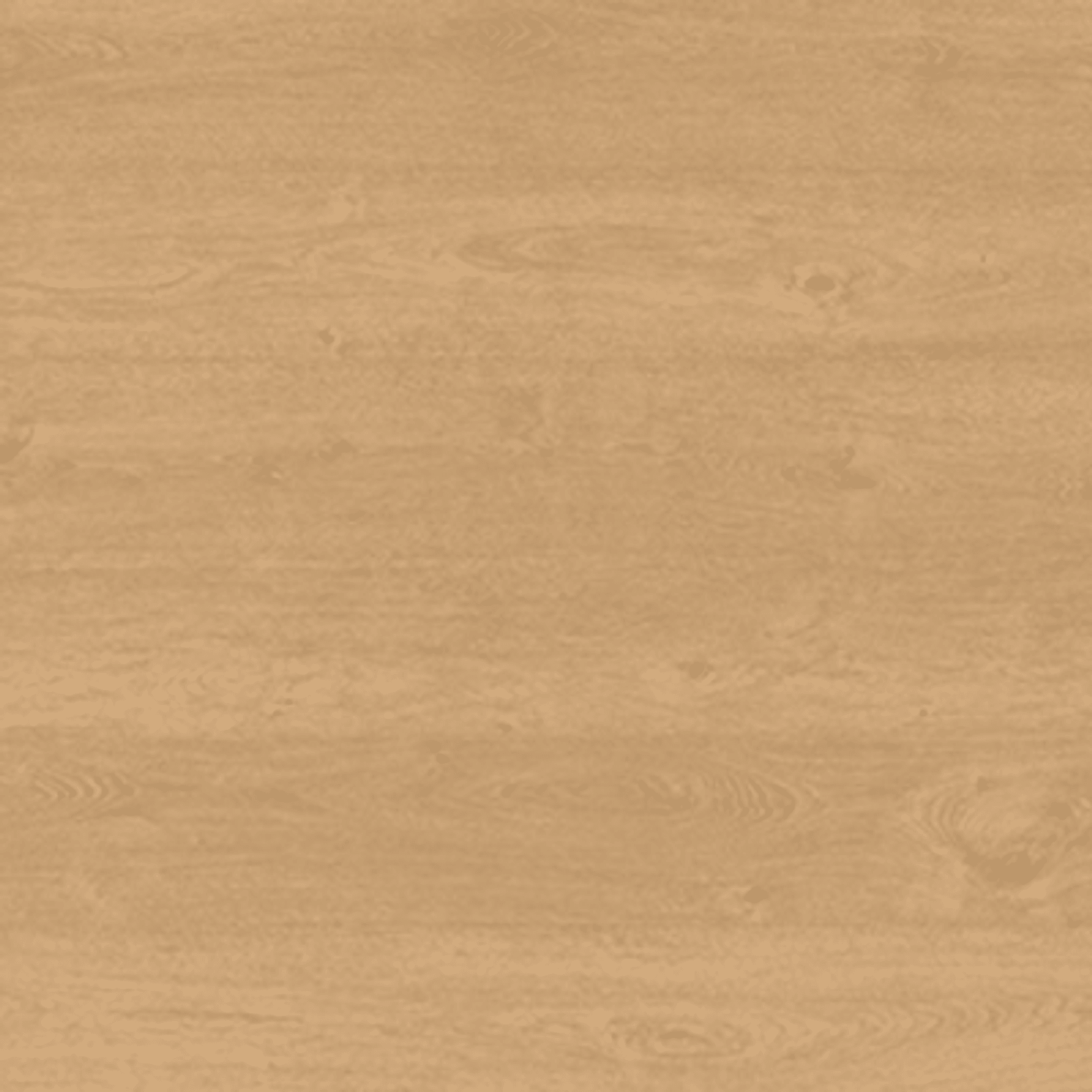 Shield | Everlast gallery detail image