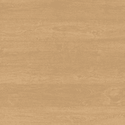 Shield | Everlast gallery detail image