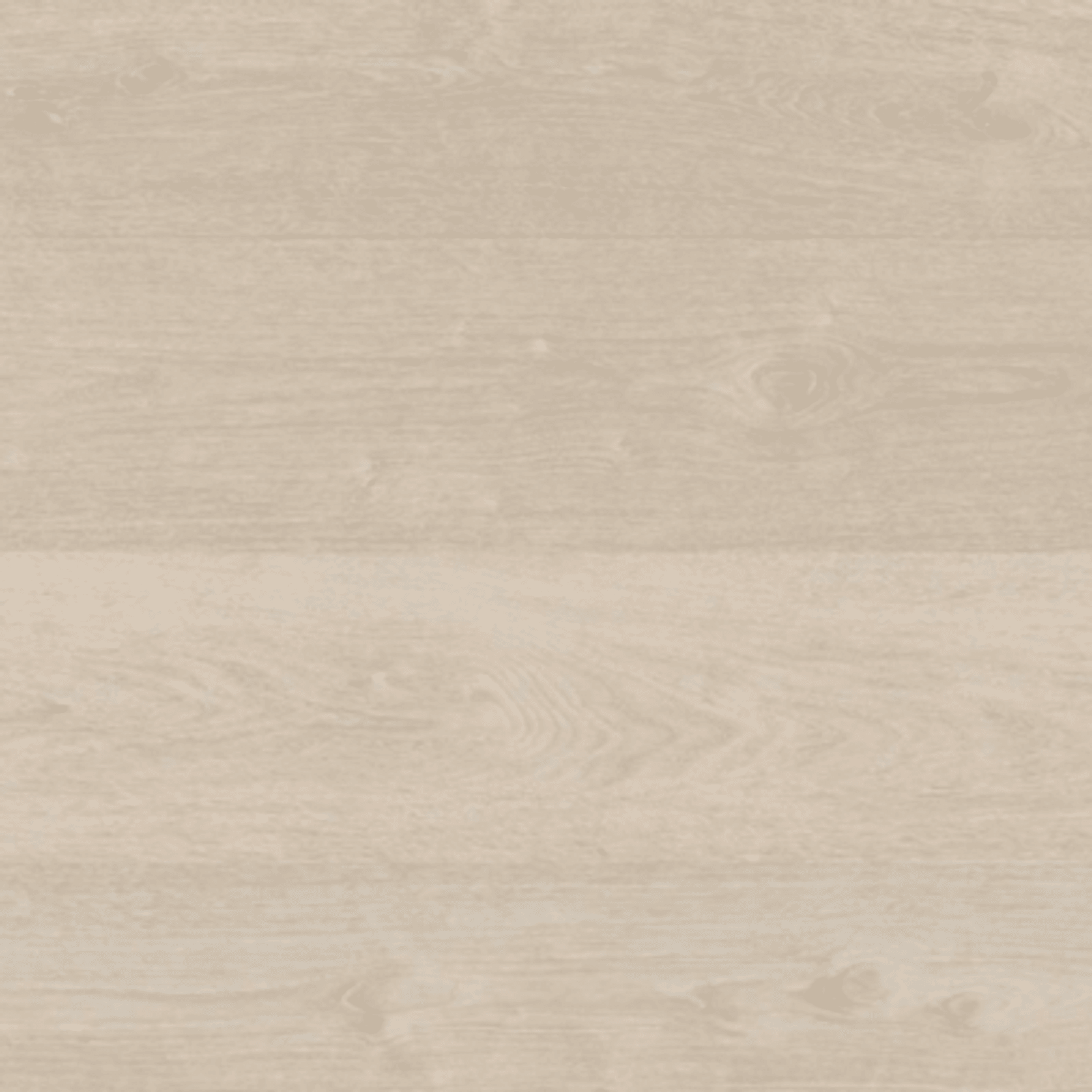 Shield | Everlast gallery detail image