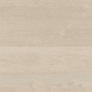 Shield | Everlast gallery detail image