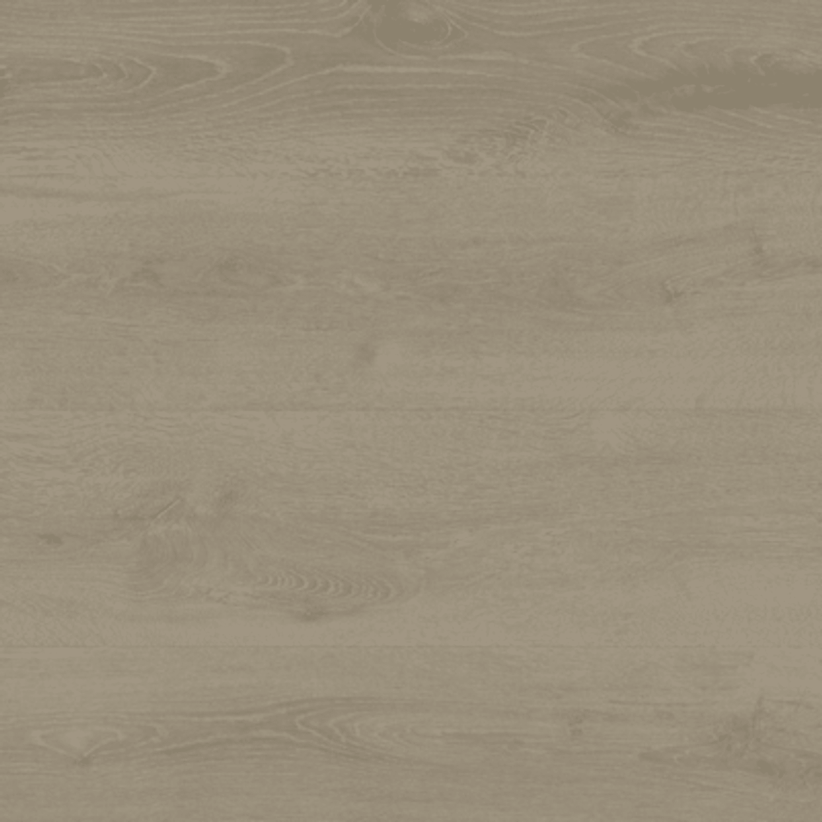 Shield | Everlast gallery detail image