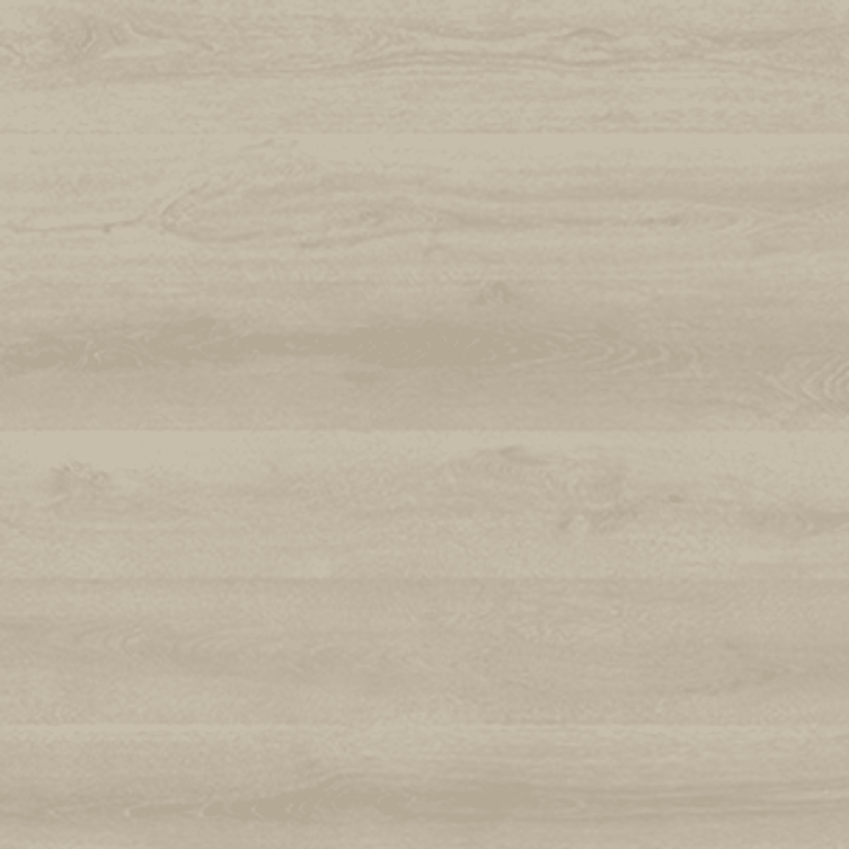 Shield | Everlast gallery detail image