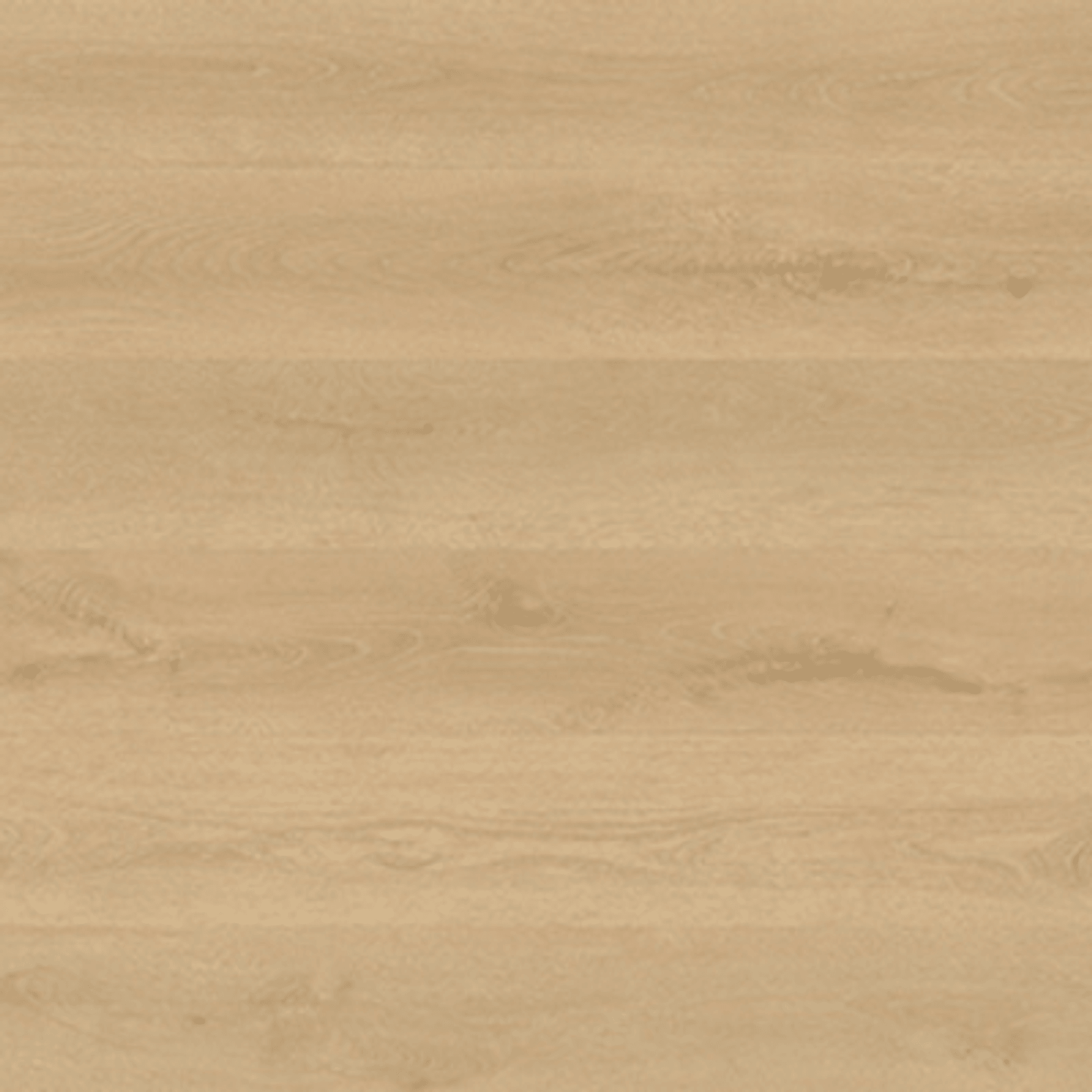 Shield | Everlast gallery detail image