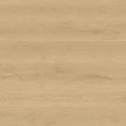 Shield | Everlast gallery detail image