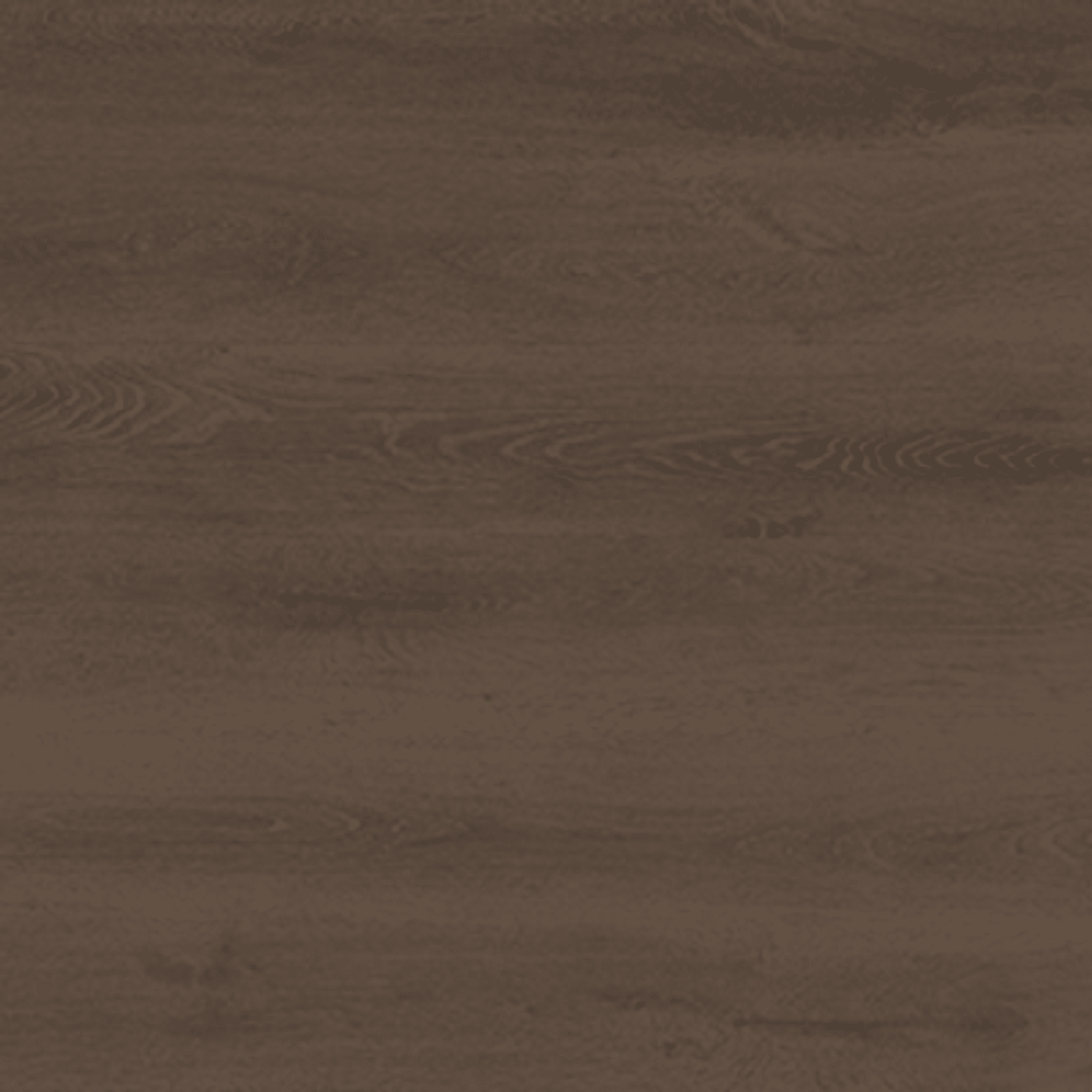 Shield | Everlast gallery detail image