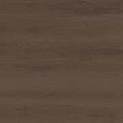 Shield | Everlast gallery detail image