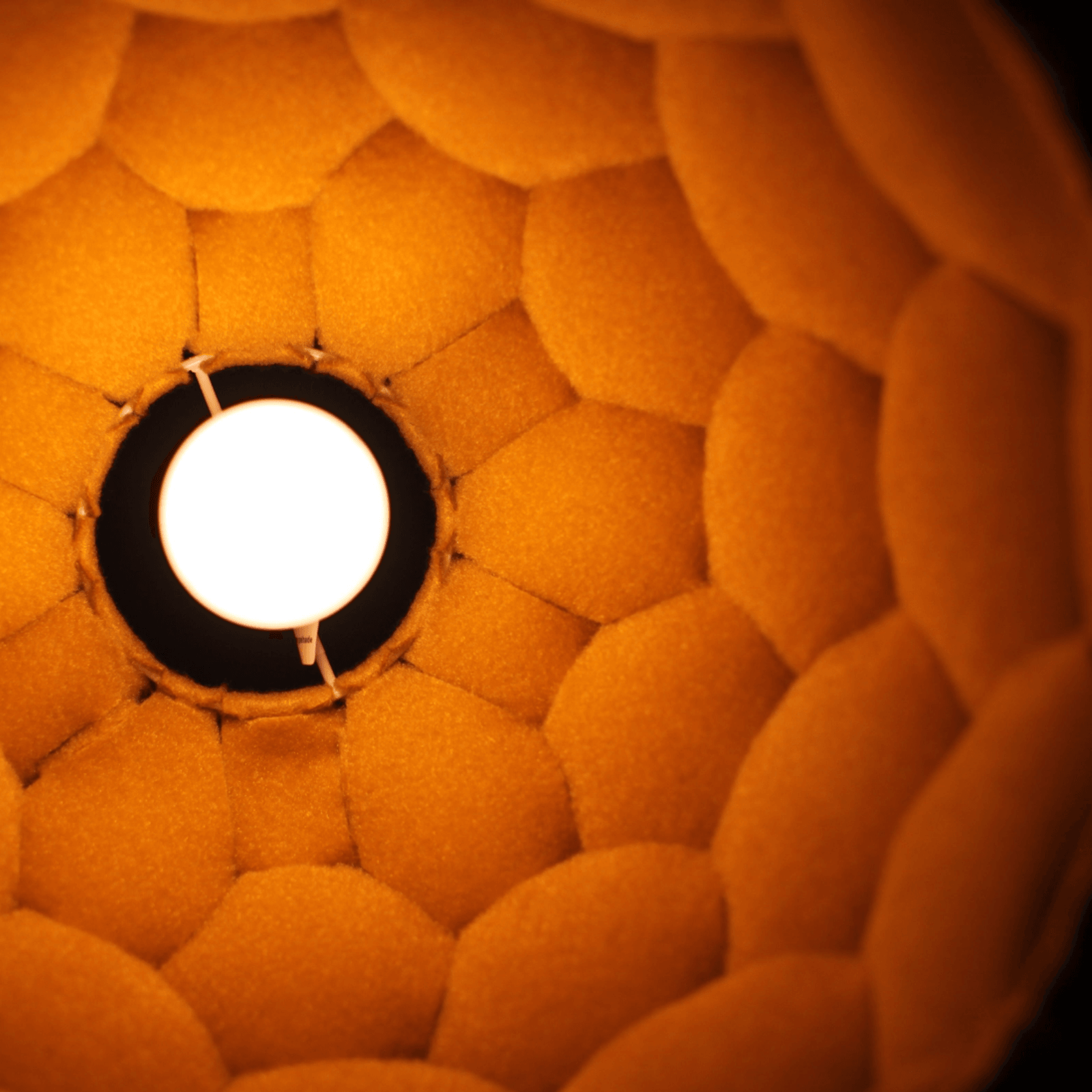 Nectar Lights gallery detail image