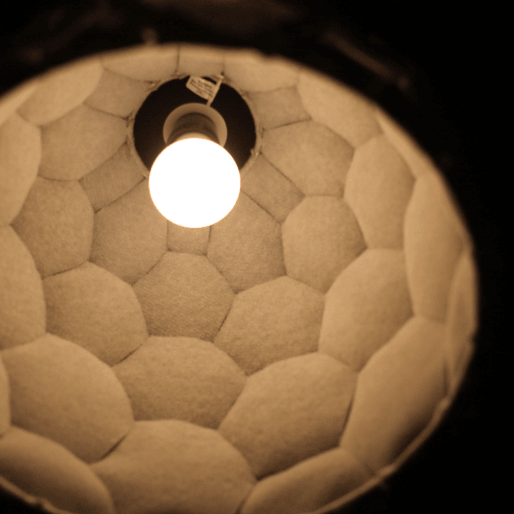 Nectar Lights gallery detail image