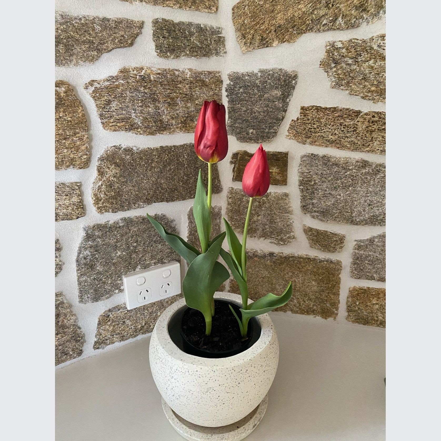 Ledge Stone Savannah Wall Cladding gallery detail image