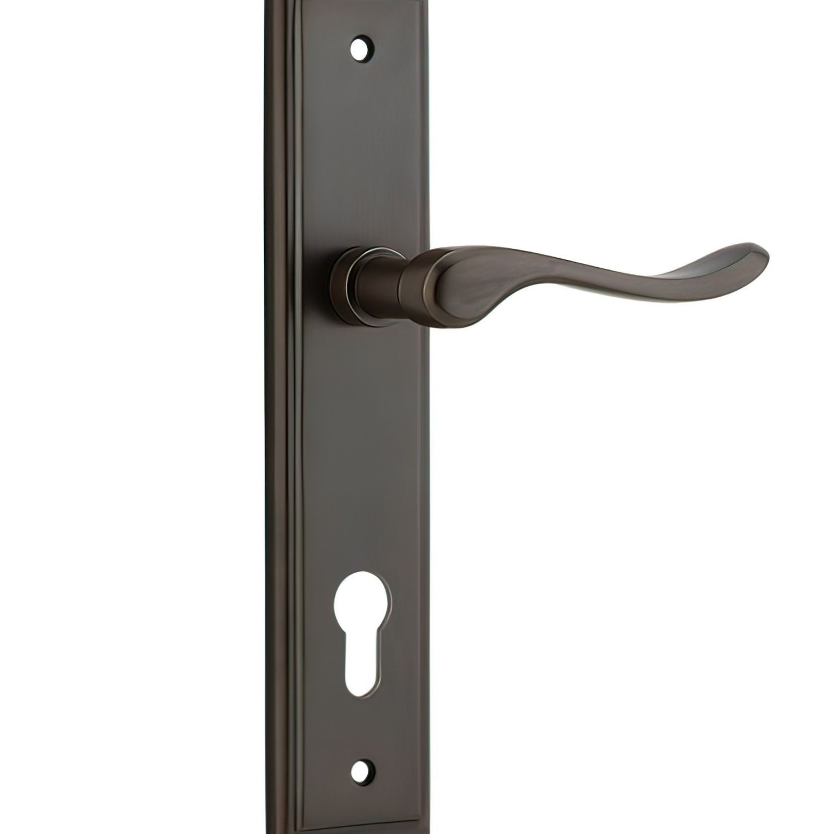 Iver Stirling Door Lever on Stepped Backplate Signature Brass gallery detail image