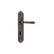 Iver Sarlat Lever Door Handle on Shouldered Backplate Signature Brass gallery detail image
